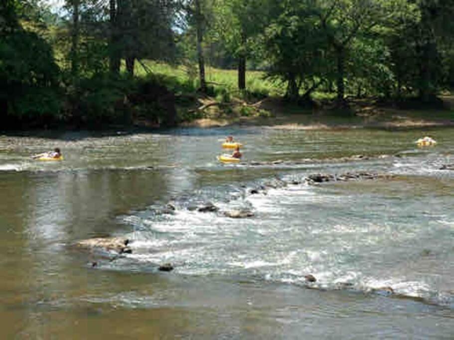 Riverside Relaxer W/Hot Tub+Fire Pit +Wifi & View فرانكلين المظهر الخارجي الصورة