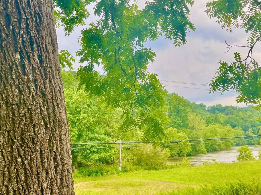 Riverside Relaxer W/Hot Tub+Fire Pit +Wifi & View فرانكلين المظهر الخارجي الصورة